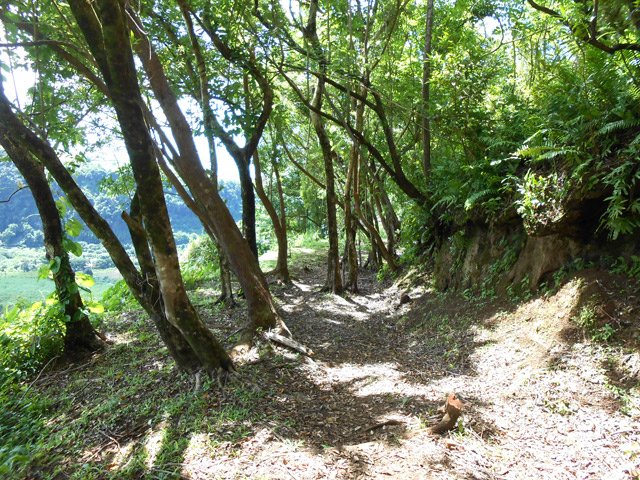 Beau sentier propre avec vues sur la Rivière du Mât
