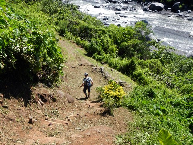 Dernière descente pour rejoindre le sentier de départ