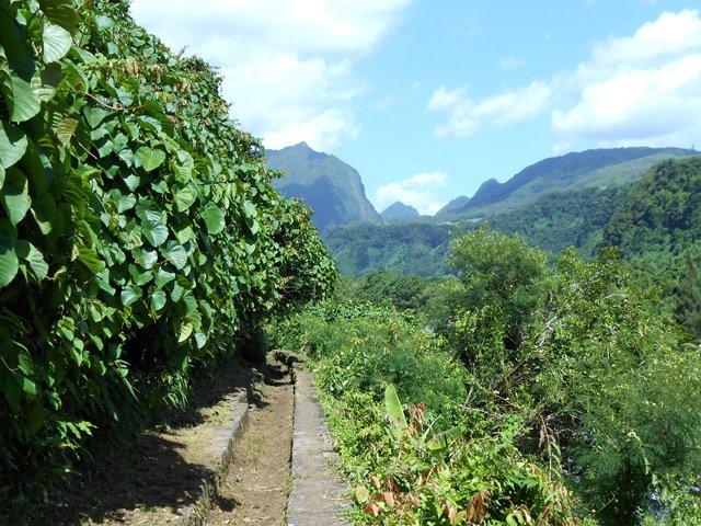 Le canal, bien marqué, sert de sentier avec panoramas sur le Cirque de Salazie