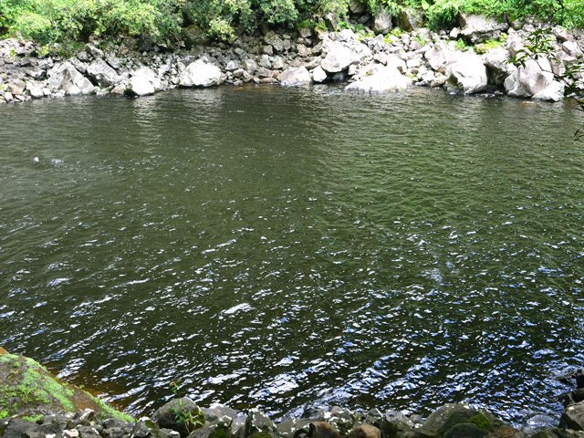 Vaste étendue d'eau pour ce bassin aux eaux noires