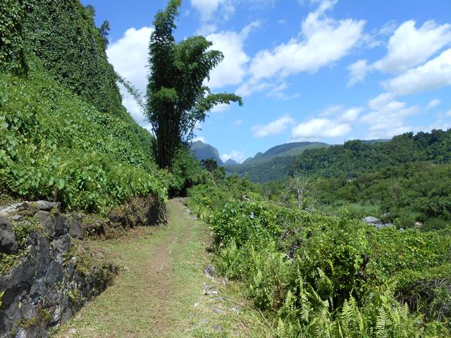Très beau sentier au départ, avec vue sur le Cirque de Salazie