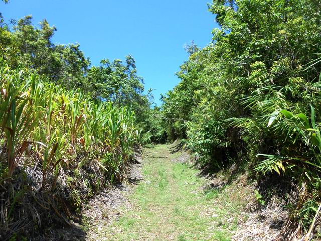 La piste qui permet de remonter vers le haut du rempart