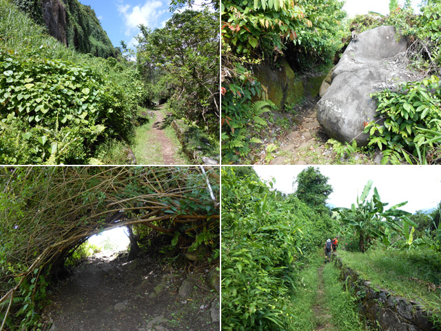 Quatre portions du sentier avant le Bras des Lianes