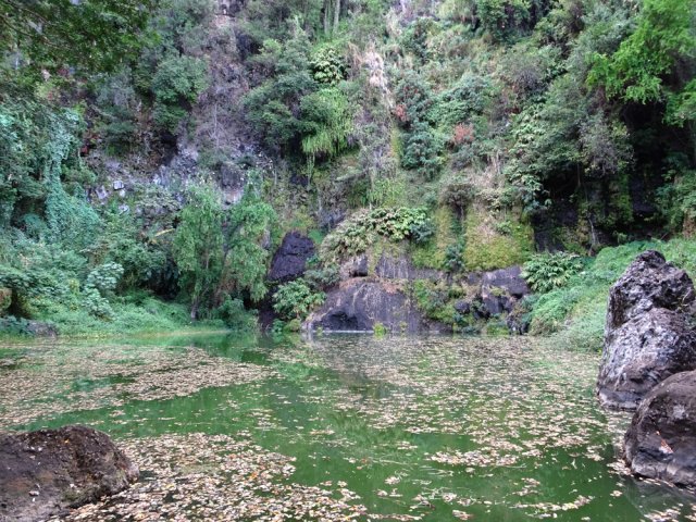 En période calme, le bassin n'est pas attrayant. Voir après les fortes pluies