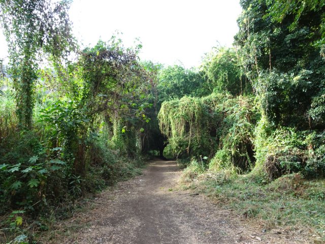 Très large chemin plat pour commencer