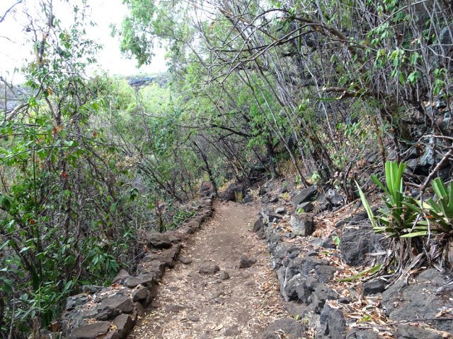 Quelques portions du sentier sont en très bon état