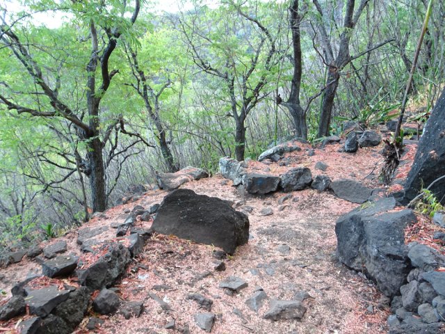Descente caillouteuse sur un tapis de feuilles de tamarins