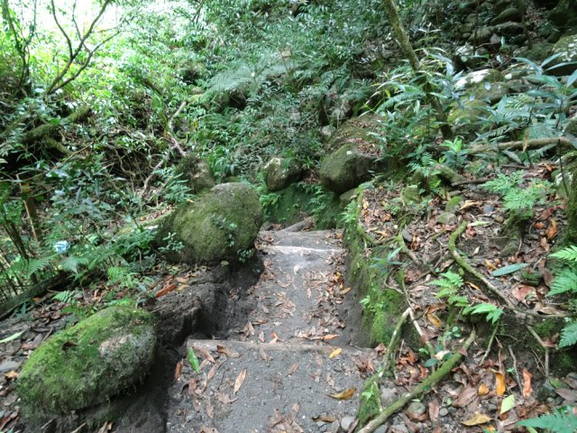 La dernière descente avant le gué du Bras de Caverne