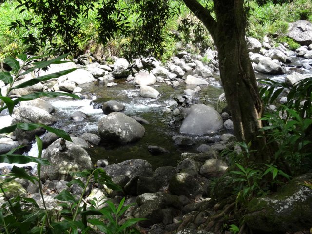 Il vaut mieux marcher dans l'eau si les rochers sont mouillés