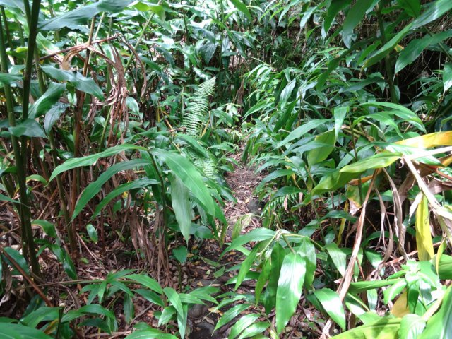 Certaines portions dans les longoses sont parfois très boueuses
