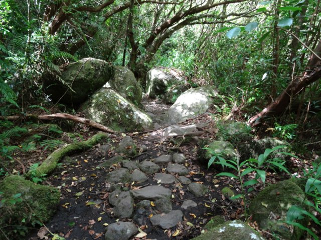 Beaucoup de jamrosas et de cailloux le long de ce petit circuit