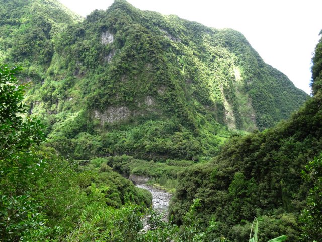 La route de Salazie et la Rivière du Mât du côté du pisse en l'air