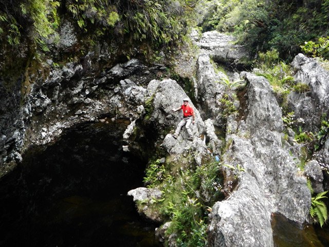 Chansons aval : endroit sauvage près d'un bassin d'eau noire