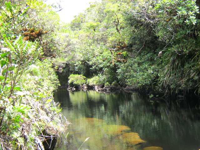 Chansons aval : le même bassin et la végétation qui l'entoure