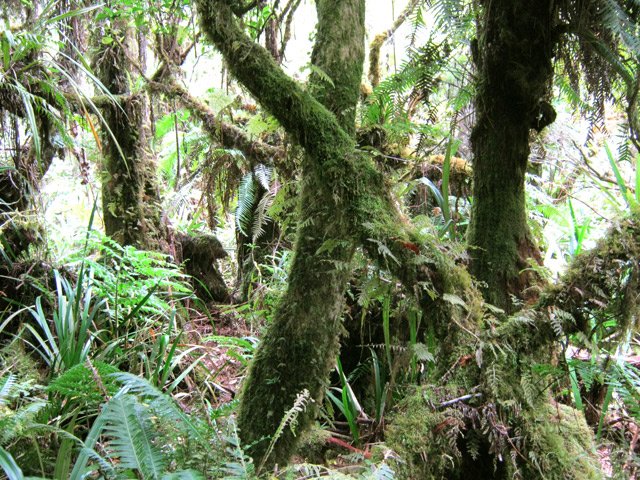 Chansons aval : passage encore assez facile