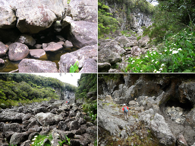 Marsouins amont : Une idée du cheminement dans le fond de la Rivière des Marsouins