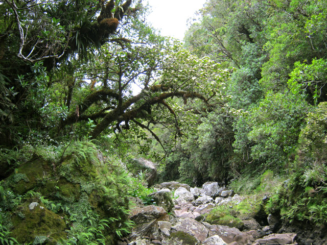 Chansons amont : une idée du fond de la ravine