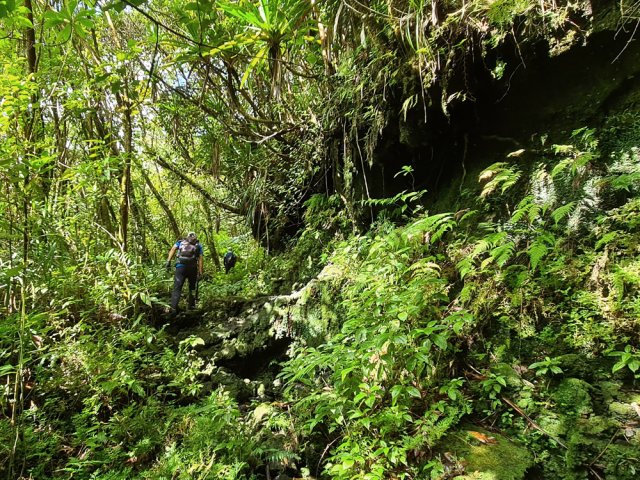 Ce haut fossé sauvage marque la fin proche de la traversée