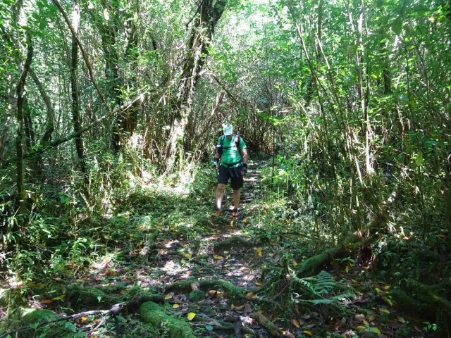 Plus on descend et plus le sentier d'élargit