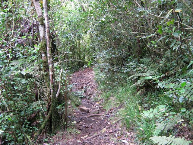 Une idée du sentier, jamais difficile, même en montée
