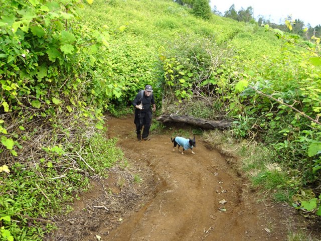 Fortes pentes par endroits sur terre glissante par temps de pluie