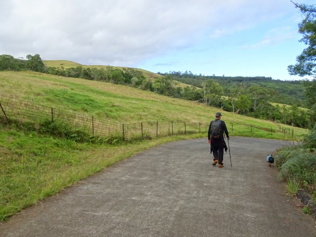 Quelques prairies ne sont pas encore envahies de vigne marronne