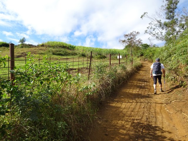 La piste grimpe le long des prairies
