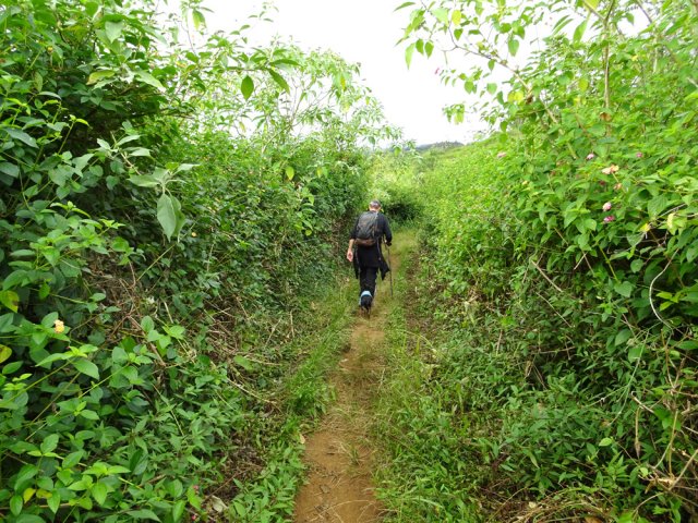 Le sentier est entretenu malgré les galaberts cherchant à le refermer