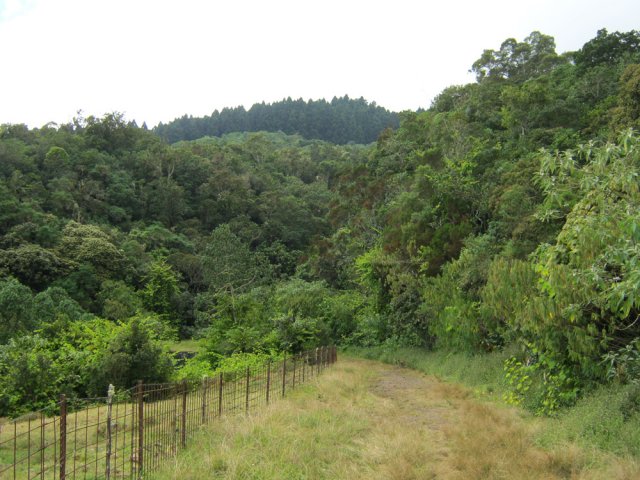 La piste longe des prairies avant la Ravine Jardin