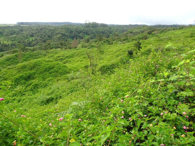 Une idée des champs encore cultivés il y a moins de 20 ans