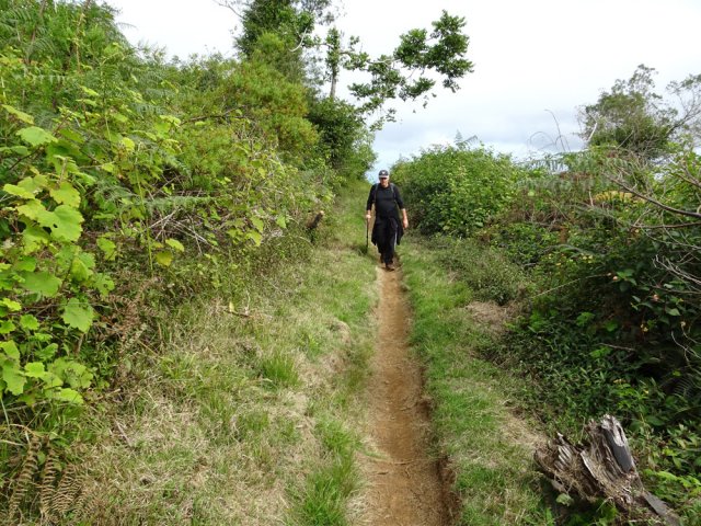 Une agréable portion plate et herbeuse