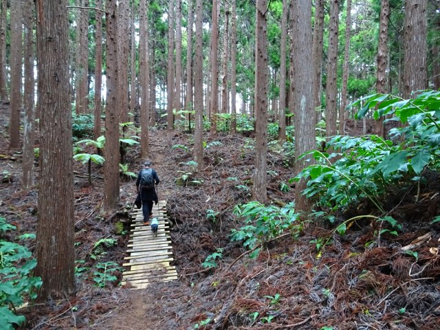 Aucune difficulté pour suivre la trace