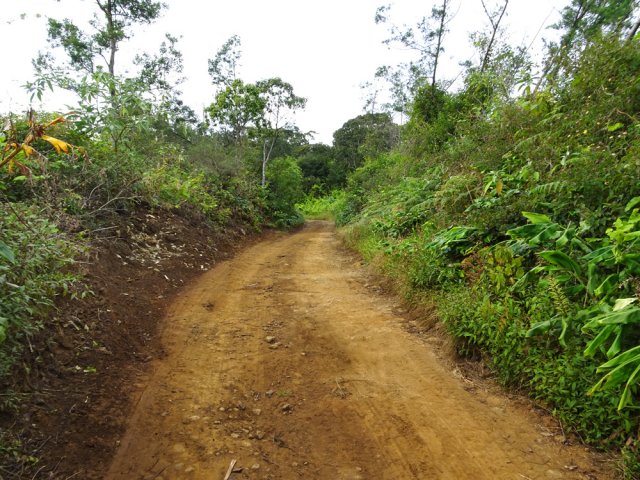 On retrouve la piste de Bois de Nèfles, terreuse à cet endroit