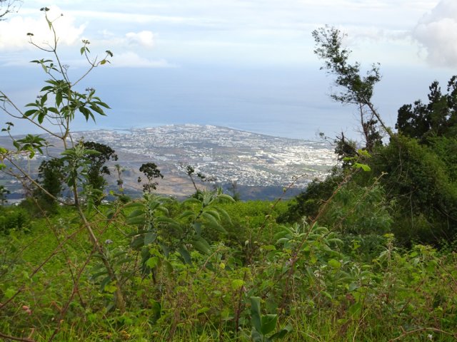 Les premiers points de vue sur Le Port et l'océan