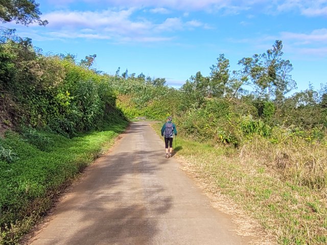La piste en terre bétonnée à l'approche des prairies