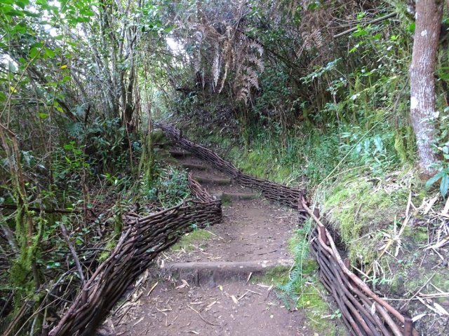Tout a été fait pour donner envie de marcher
