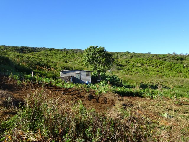 Une des dernières cases entourée de quelques cultures