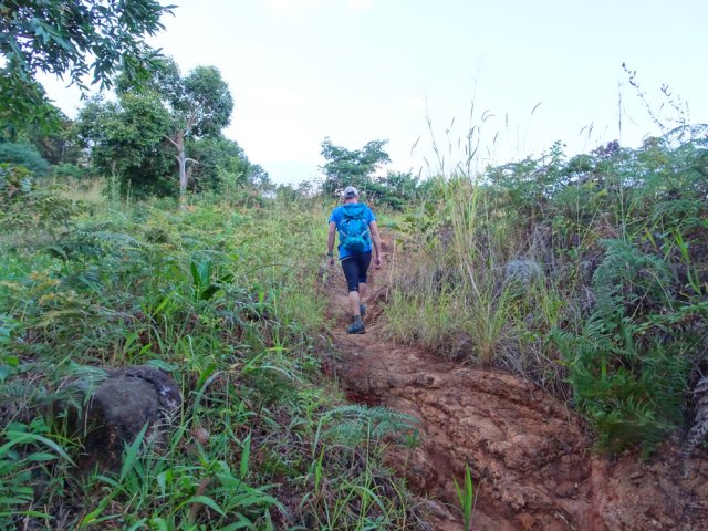 Plus haut, on marche dans d'anciennes friches