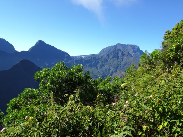 Point de vue sur Mafate malgré une végétation non fauchée