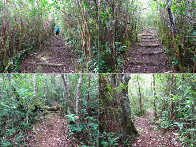 La première partie a tout de la balade familiale