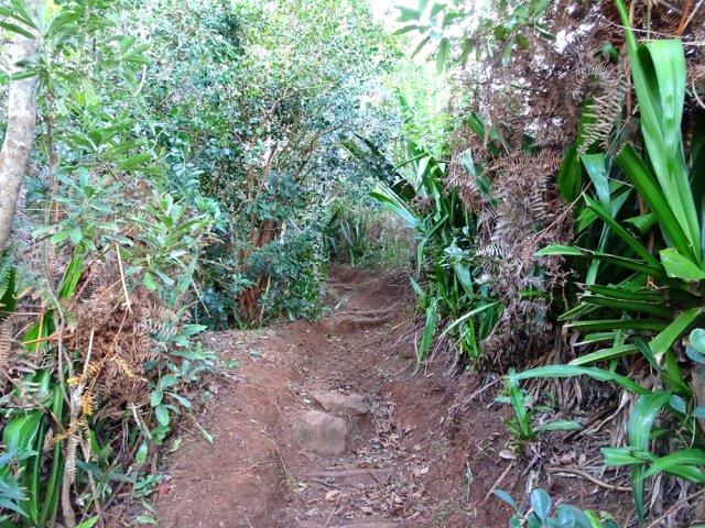 Délaisser la piste pour emprunter le sentier de gauche