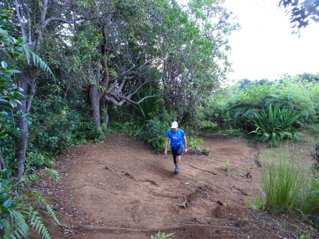 Le sentier dépasse souvent les deux mètres de large