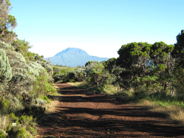 La piste de terre rouge qui descend dans les prairies