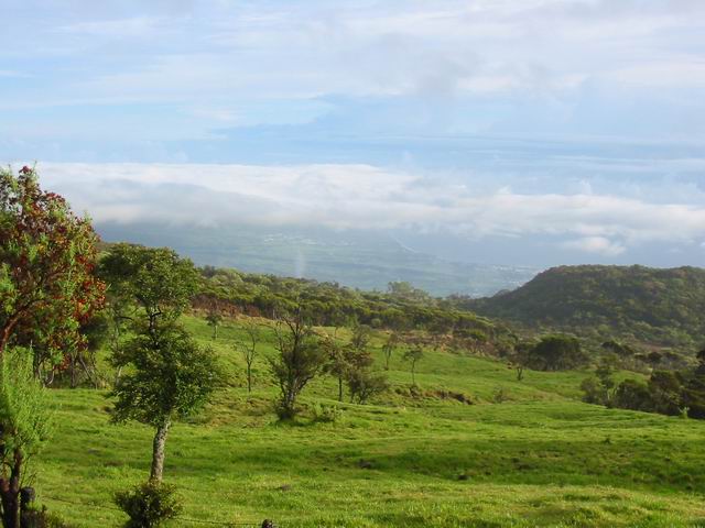 Les prairies et la côte vers St Benoit depuis la piste forestière