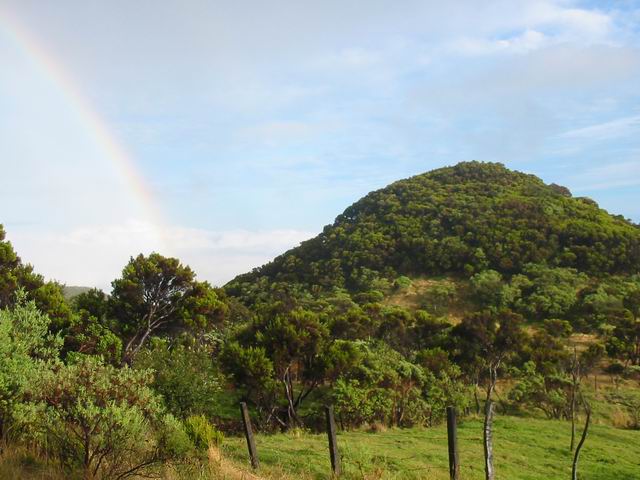 Le Piton de Brèdes, juste avant d'arriver au Piton de l'Eau