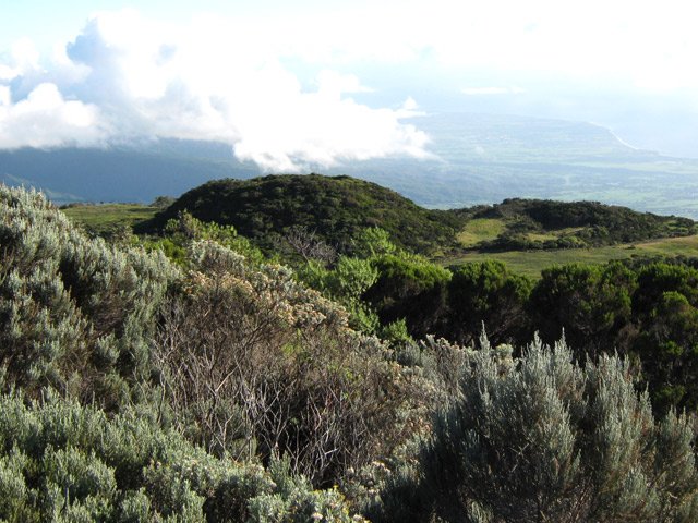 Vue sur le Piton des Cochons et la côte