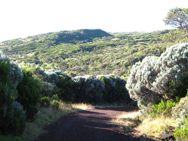Agréable piste bordée de branles gris