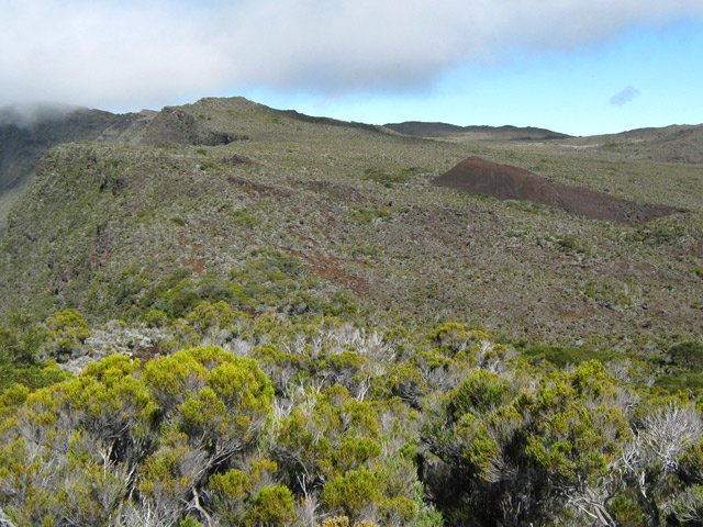 Une idée de la végétation qui recouvre cette région