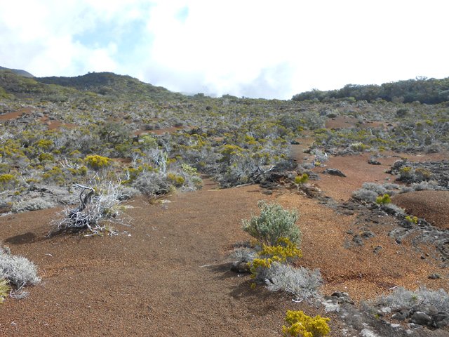 On marche dans les brandes rases sur des lapillis bruyants