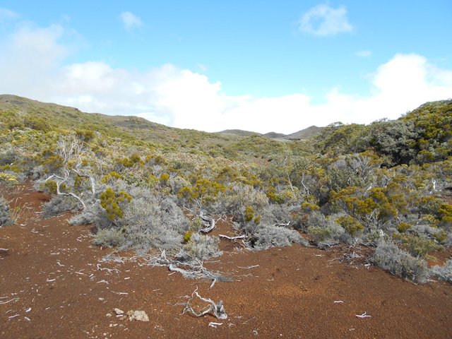 Difficile de s'égarer sur un tel parcours bien marqué